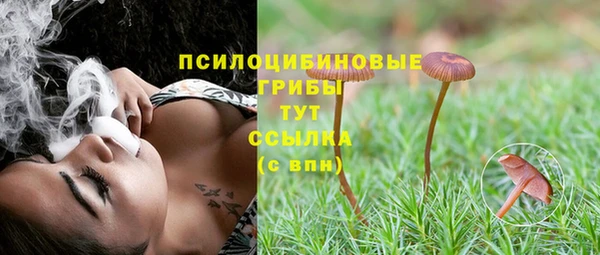 кокс Снежногорск