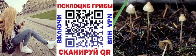 Галлюциногенные грибы Psilocybine cubensis  Емва 